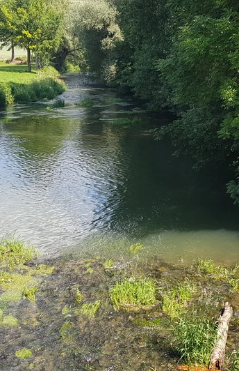 Fluss mit klarem Wasser und grünen Ufern, flankiert von üppiger Vegetation und angrenzenden Feldern.