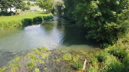 nethe (1).jpg Fluss mit klarem Wasser und grünen Ufern, flankiert von üppiger Vegetation und angrenzenden Feldern.