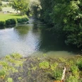 nethe (1).jpg Fluss mit klarem Wasser und grünen Ufern, flankiert von üppiger Vegetation und angrenzenden Feldern.