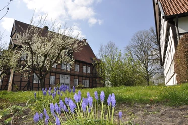 Haus Aussel Frühjahr Traditionelles Fachwerkhaus im Frühling, umgeben von blühenden Bäumen und violetten Blumen im Vordergrund.