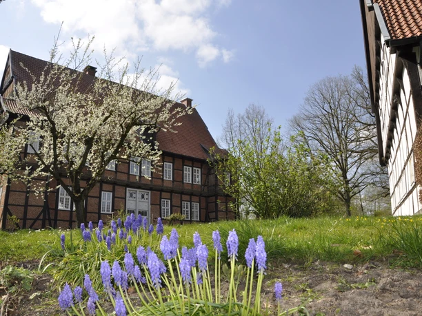 Haus Aussel Frühjahr Traditionelles Fachwerkhaus im Frühling, umgeben von blühenden Bäumen und violetten Blumen im Vordergrund.