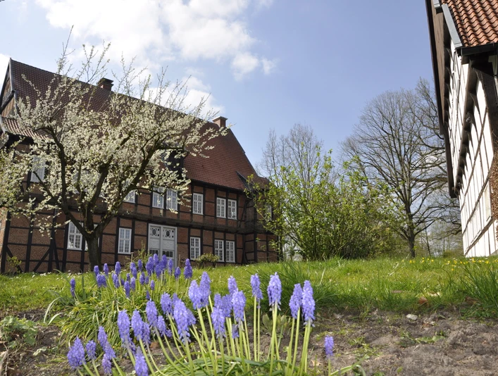 Haus Aussel Frühjahr Traditionelles Fachwerkhaus im Frühling, umgeben von blühenden Bäumen und violetten Blumen im Vordergrund.