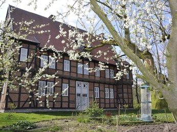 Haus Aussel Fachwerkhaus mit blühenden Obstbäumen im Vordergrund, ein idyllischer Frühlingsgarten im Sonnenschein.