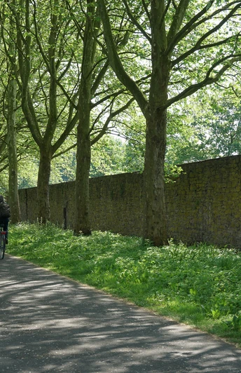 Radweg unter Bäumen entlang einer alten, hohen Steinmauer