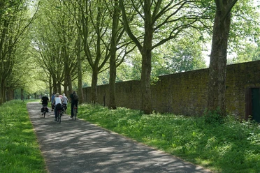weserradweg-thomashampel.JPG Radweg unter Bäumen entlang einer alten, hohen Steinmauer