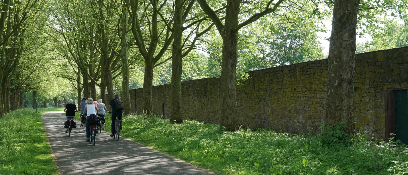 weserradweg-thomashampel.JPG Radweg unter Bäumen entlang einer alten, hohen Steinmauer