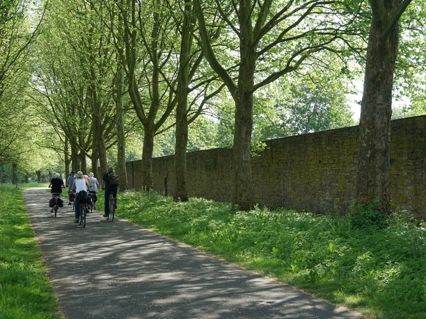 weserradweg-thomashampel.JPG Radweg unter Bäumen entlang einer alten, hohen Steinmauer