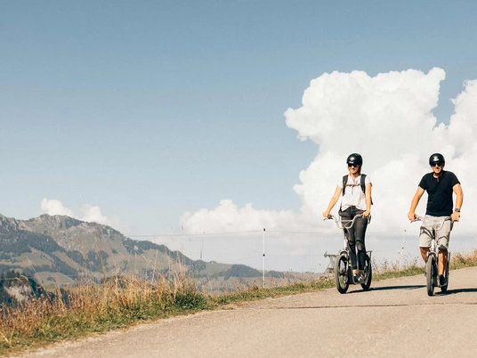 trottibike-vermietung-wiriehorn-sommer-trottibiker-strasse-aussicht.jpg