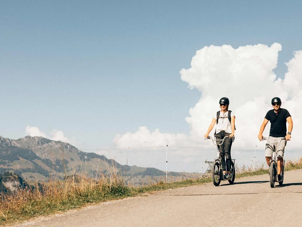 trottibike-vermietung-wiriehorn-sommer-trottibiker-strasse-aussicht.jpg