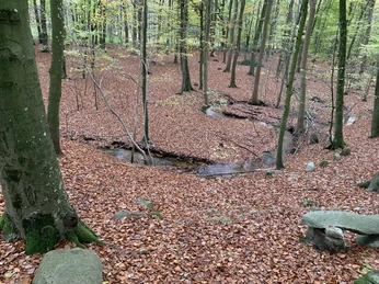 Bach unterhalb des Friedhofs