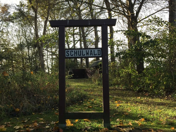 Schulwald