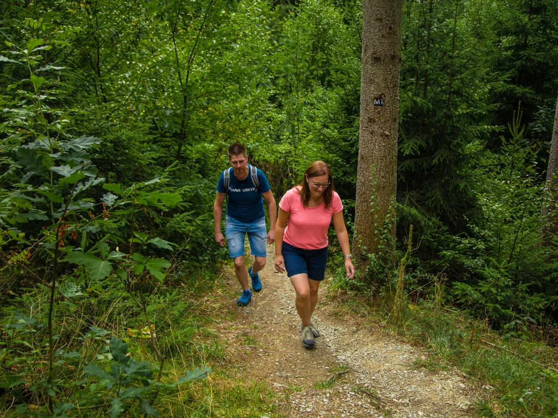 Wanderpfad in Bleiwäsche-Bad Wünnenberg Zwei Personen wandern auf einem schmalen, bewaldeten Pfad in Bleiwäsche-Bad Wünnenberg.