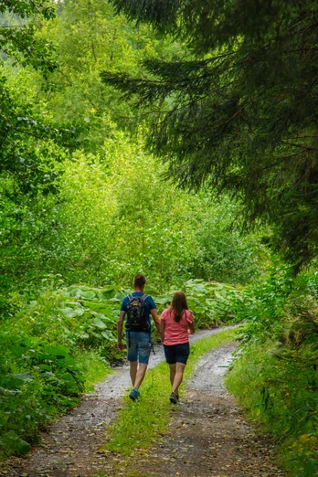 Wandern in Bad Wünnenberg Ein Paar wandert auf einem schmalen, naturbelassenen Weg durch einen grünen, leicht bewaldeten Bereich.
