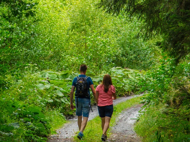 Wandern in Bad Wünnenberg Ein Paar wandert auf einem schmalen, naturbelassenen Weg durch einen grünen, leicht bewaldeten Bereich.
