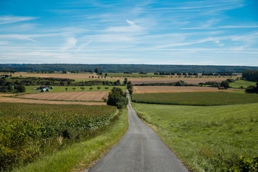 Feldweg Helmern Langer asphaltierter Weg durch weite Felder mit grünem Wiesenrand und blauem Himmel im Hintergrund.