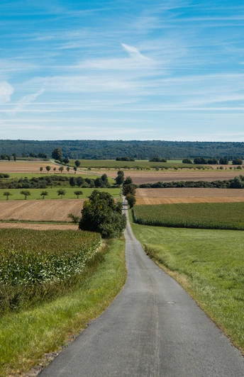 Feldweg Helmern Langer asphaltierter Weg durch weite Felder mit grünem Wiesenrand und blauem Himmel im Hintergrund.