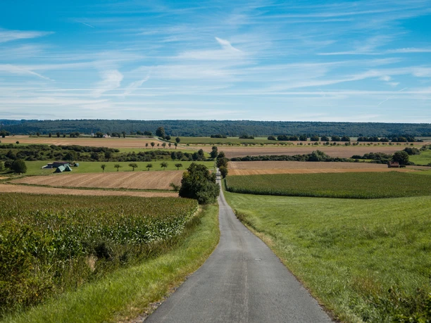 Feldweg Helmern Langer asphaltierter Weg durch weite Felder mit grünem Wiesenrand und blauem Himmel im Hintergrund.
