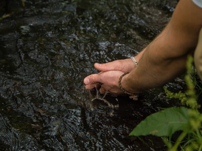 Zwei Hände berühren sanft das klare Wasser eines Flusses, umgeben von üppigem Grün.