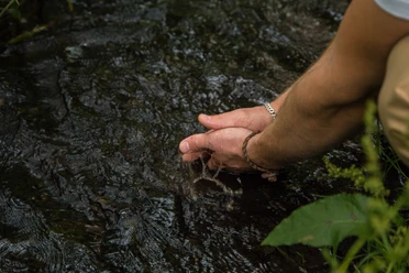 Hände im Fluss Zwei Hände berühren sanft das klare Wasser eines Flusses, umgeben von üppigem Grün.