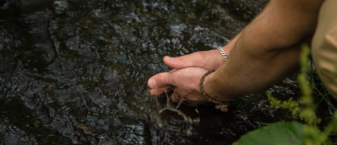 Hände im Fluss Zwei Hände berühren sanft das klare Wasser eines Flusses, umgeben von üppigem Grün.