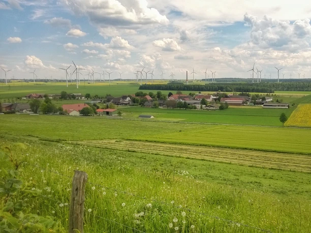 Ortsansicht Elisenhof Ländliche Szene des Elisenhofs mit Windrädern im Hintergrund und weitem grünem Feld im Vordergrund.