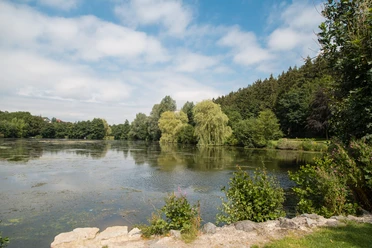 Ein ruhiger Teich umgeben von Bäumen und bewölktem Himmel in Bad Wünnenberg, perfekt für Entspannung.
