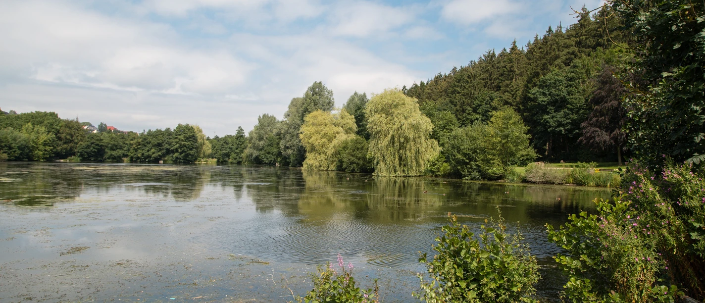 Ein ruhiger Teich umgeben von Bäumen und bewölktem Himmel in Bad Wünnenberg, perfekt für Entspannung.