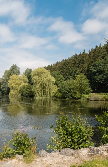 Ein ruhiger Teich umgeben von Bäumen und bewölktem Himmel in Bad Wünnenberg, perfekt für Entspannung.