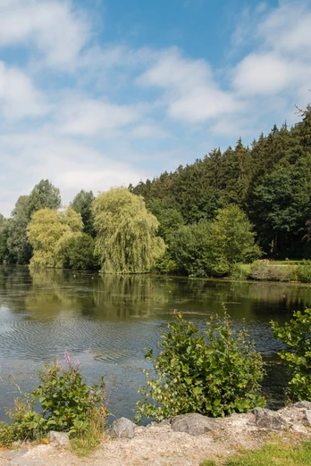 Ein ruhiger Teich umgeben von Bäumen und bewölktem Himmel in Bad Wünnenberg, perfekt für Entspannung.