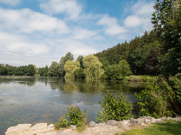 Ein ruhiger Teich umgeben von Bäumen und bewölktem Himmel in Bad Wünnenberg, perfekt für Entspannung.