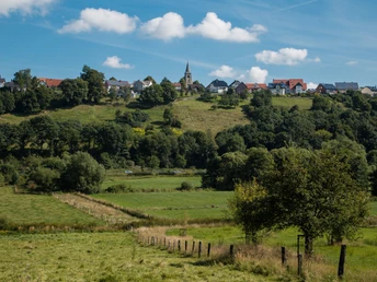 Stadtansicht Leiberg Grüne Wiesen mit einem Pfad führen zu einem Dorf auf einem Hügel, umgeben von Bäumen.