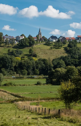 Stadtansicht Leiberg Grüne Wiesen mit einem Pfad führen zu einem Dorf auf einem Hügel, umgeben von Bäumen.