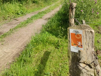 Ein Feldweg umgeben von grüner Vegetation und Bäumen, Wegweiser mit Kneipp-Weg-Symbol.