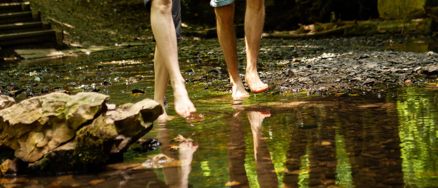 Barfußpfad Bad Wünnenberg Ein Paar spaziert barfuß durch einen flachen Bach, umgeben von üppigem Wald und Bäumen.