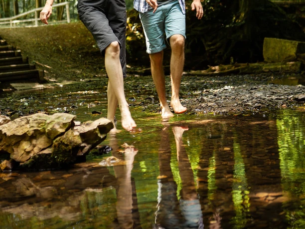 Barfußpfad Bad Wünnenberg Ein Paar spaziert barfuß durch einen flachen Bach, umgeben von üppigem Wald und Bäumen.