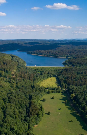 Luftbild Aabach-Talsperre Weitläufige Wälder umgeben den Aabach-Stausee, dessen blaues Wasser die Landschaft prägt.