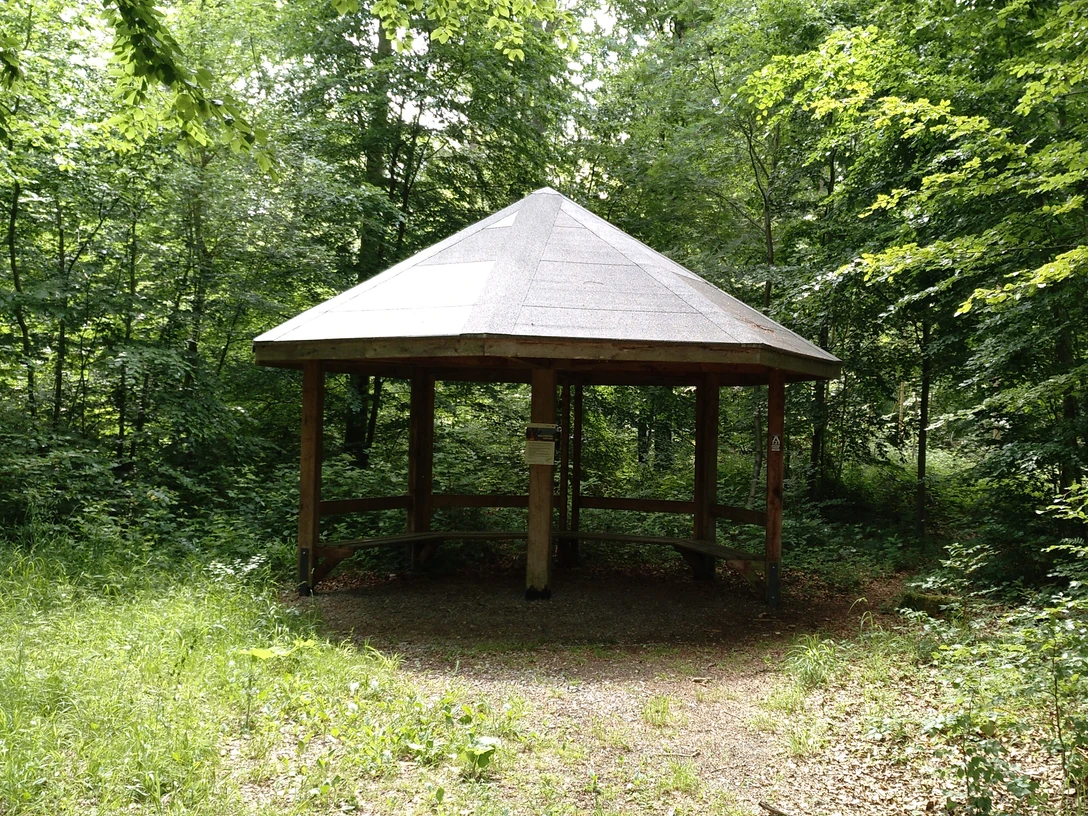 Ein hölzerner Unterstand mit achteckigem Dach, umgeben von dichtem, grünem Wald bei Brakel-Istrup.