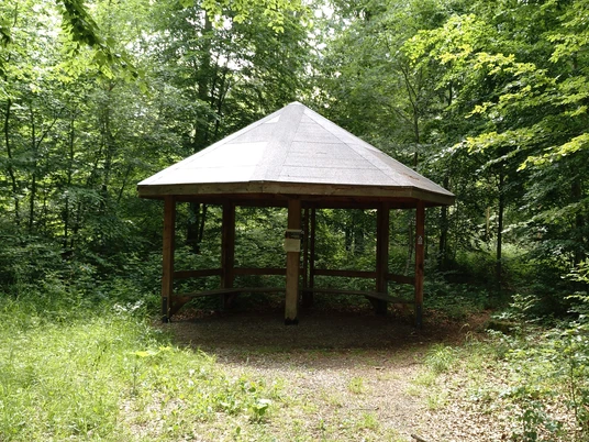 Ein hölzerner Unterstand mit achteckigem Dach, umgeben von dichtem, grünem Wald bei Brakel-Istrup.
