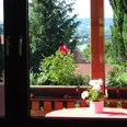 Aussicht Ferienwohnung Jakobs Blick durch ein Fenster auf farbenprächtige Blumen, Wälder und ferne Hügel einer weitläufigen Landschaft.