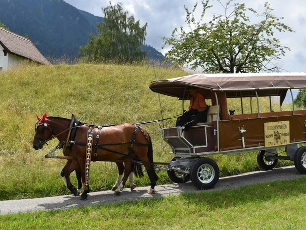 kutschenfahrt-aeschi-gedeckte-kutsche-unterwegs-wiese-beaume.jpg