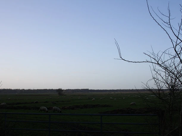 Aussicht
