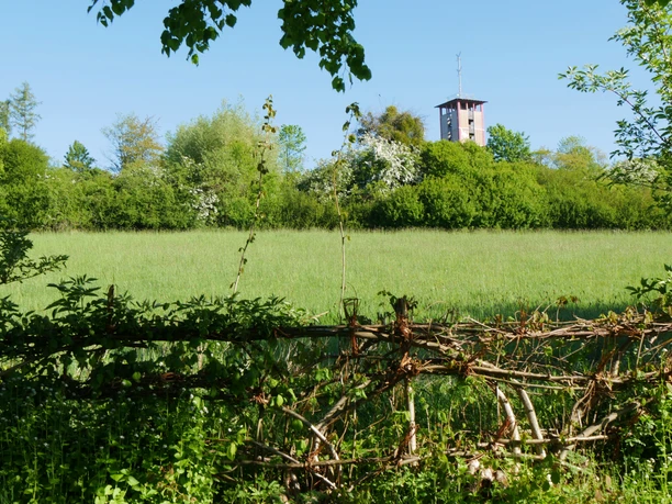 Lattbergturm bei Entrup Lattbergturm bei Entrup erhebt sich hinter einer grünen Wiese, umgeben von Bäumen und Natur.