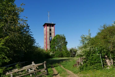 Lattbergturm bei Entrup inmitten von üppigem Grün und blauem Himmel, umgeben von Wildwiesen.