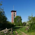 Lattbergturm bei Entrup inmitten von üppigem Grün und blauem Himmel, umgeben von Wildwiesen.