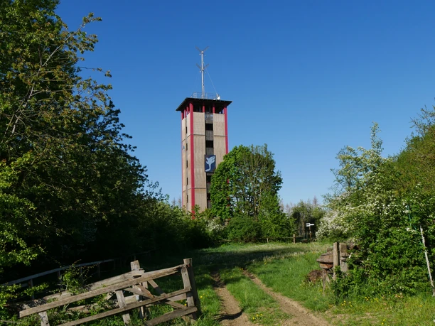 Lattbergturm bei Entrup Lattbergturm bei Entrup inmitten von üppigem Grün und blauem Himmel, umgeben von Wildwiesen.