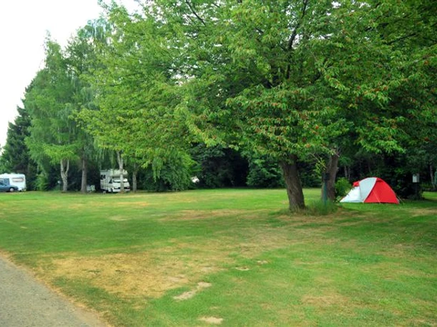 Grünflache Natur Camp an der Weser Grüne Campingwiese an der Weser mit Wohnmobilen und Zelt unter Bäumen im Sommer.