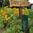 Sinnesgarten in Germete Holzschild für den Sinnesgarten, umgeben von leuchtend gelben und rosafarbenen Blumen.