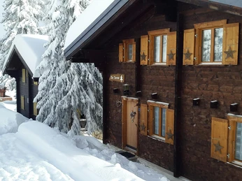 Chalet Zur Tanne an der Aletschpromenade