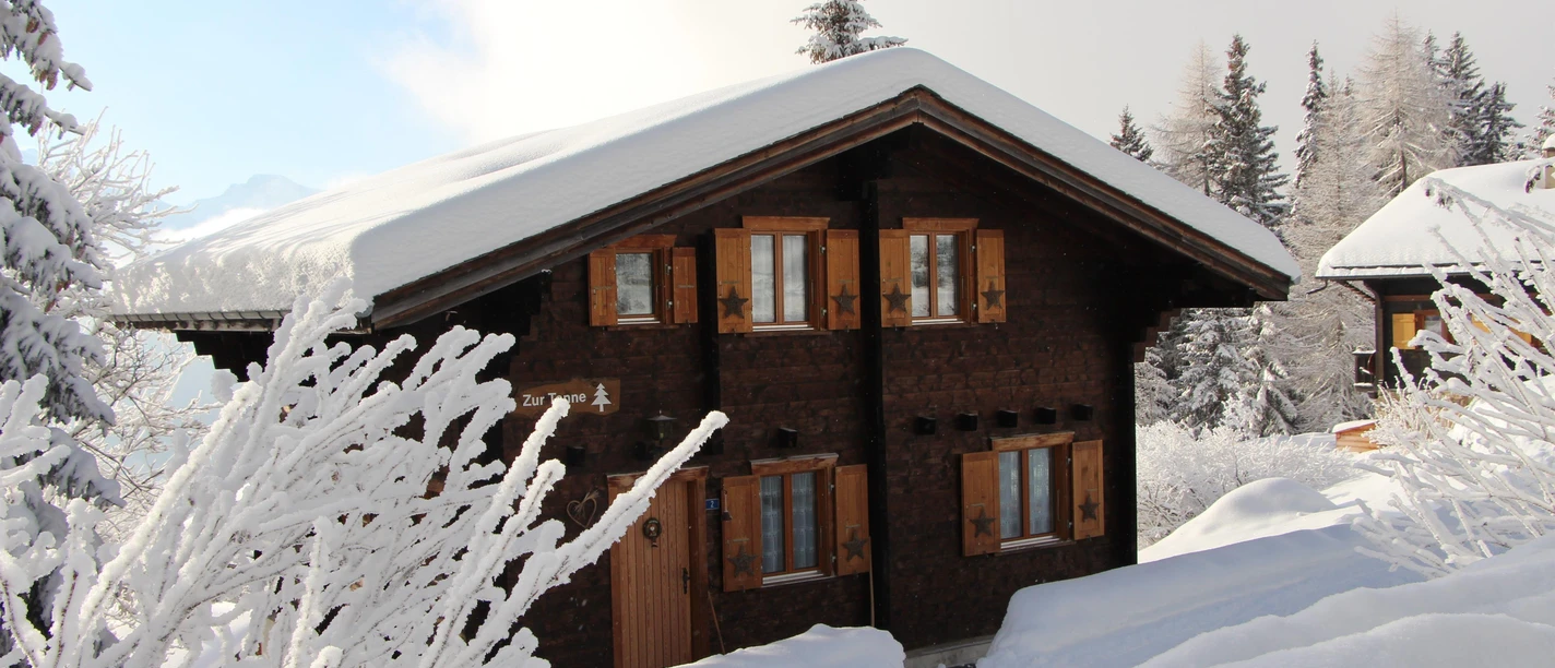 Chalet Zur Tanne (von Osten)