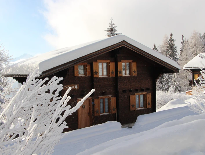 Chalet Zur Tanne (von Osten)